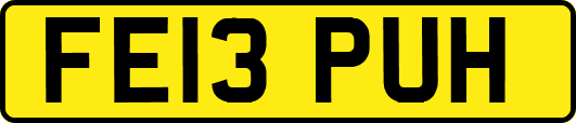 FE13PUH