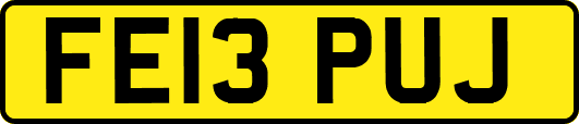 FE13PUJ