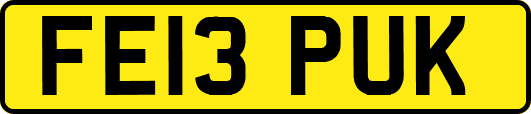 FE13PUK