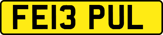FE13PUL