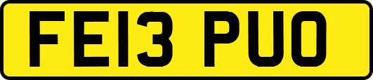 FE13PUO