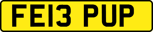 FE13PUP