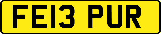 FE13PUR