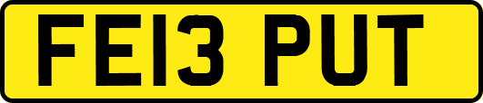 FE13PUT