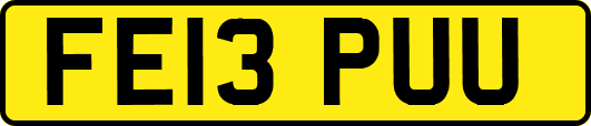 FE13PUU