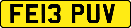 FE13PUV