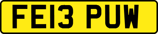 FE13PUW