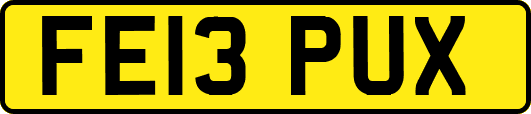 FE13PUX