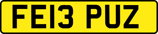 FE13PUZ