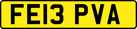 FE13PVA