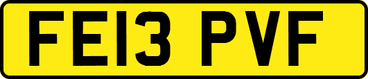 FE13PVF