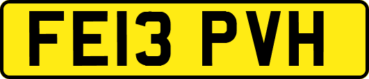 FE13PVH