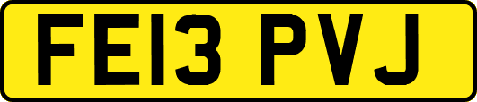 FE13PVJ