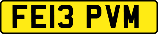 FE13PVM