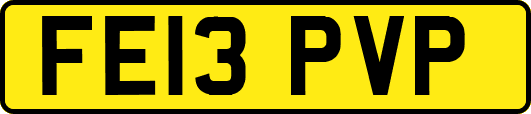 FE13PVP