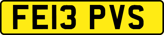FE13PVS