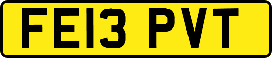 FE13PVT