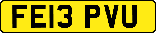 FE13PVU