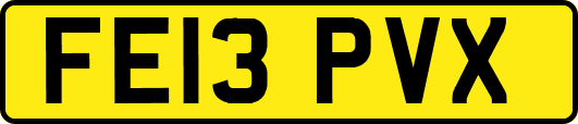FE13PVX