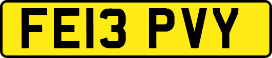 FE13PVY