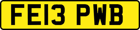FE13PWB