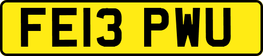 FE13PWU