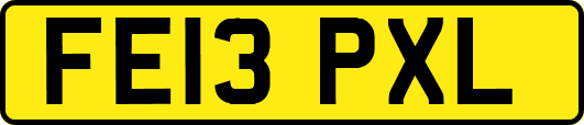 FE13PXL