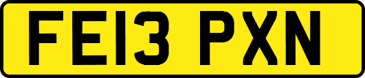 FE13PXN