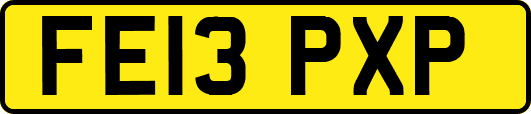 FE13PXP