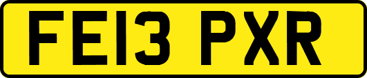 FE13PXR