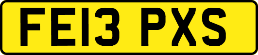 FE13PXS