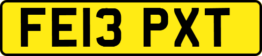 FE13PXT