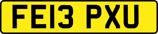 FE13PXU