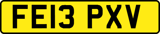FE13PXV