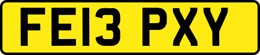 FE13PXY
