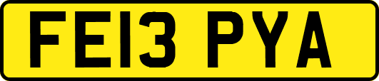 FE13PYA