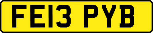 FE13PYB