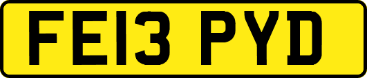 FE13PYD