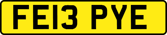 FE13PYE