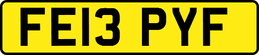 FE13PYF
