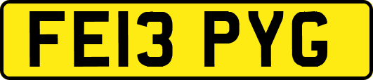 FE13PYG