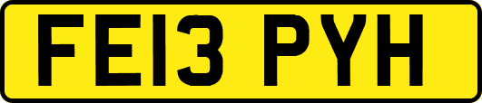 FE13PYH