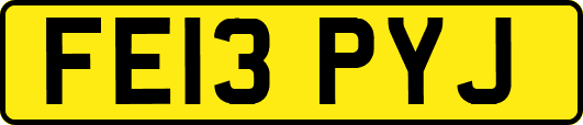 FE13PYJ