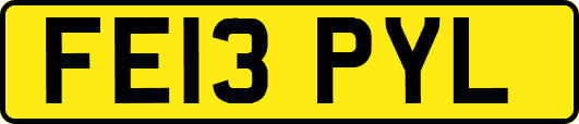FE13PYL