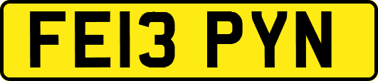 FE13PYN