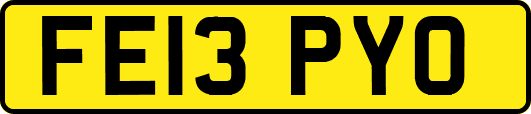 FE13PYO