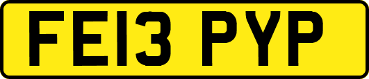 FE13PYP