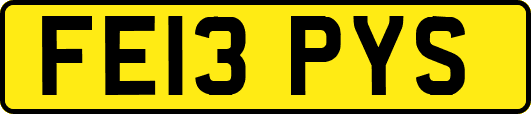 FE13PYS
