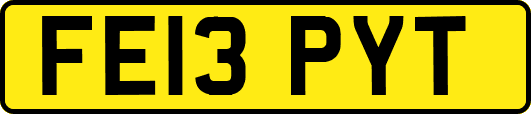 FE13PYT