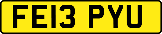 FE13PYU